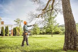 Best Commercial Tree Services  in Middletown, VA