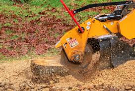 Best Tree Mulching  in Middletown, VA
