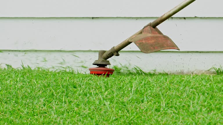Best Root Management and Removal  in Middletown, VA